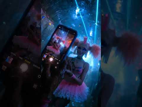 CAPUCHINA CHHINA BANG HARDBASS