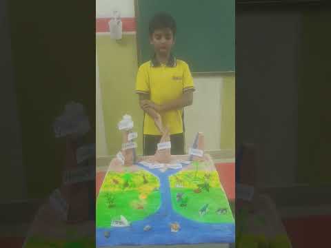 Northern mountains model