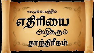 The subtle tantric power to destroy enemies #Sribhadrakaliyammanam Shaktipeetam. Kali manthirigam