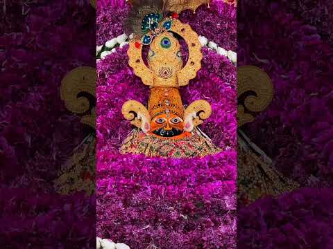 stauts khatu shyam , shayam baba fagun mela , khatu Shyam reel , virel video khatu shyam ,