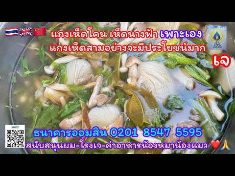 EP378 แกงเห็ดโคลน้อย นางฟ้าภูฐาน  เพาะเอง แกงสามอยากมีประโยชน์มาก#food#อาหารเจ#อาหาร#vegetarian#素食