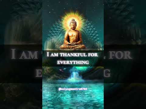 Gratitude Affirmations to Attract Grace, Blessings, and Perfection 🌼| Powerful Affirmations #reels