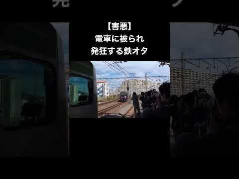 電車に被られ発狂する害悪鉄オタ