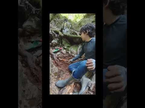 Prospecting old waterfall #goldprospecting #goldibox #prospecting #gold