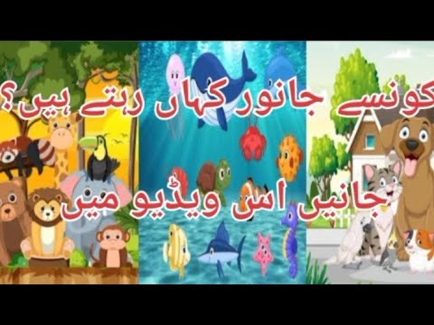 Wild animals | Pet animals | Water's animals | جنگلی جانوروں کے نام | آبی جانور | پالتو جانوروں کے