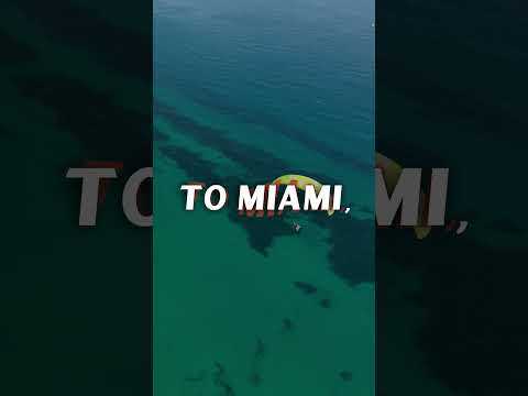 Let's Fly Away: The Song of Our Escape