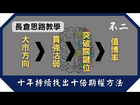 期權長倉教學| 過去十年持續找出十倍期權的方法 | #長倉思路 #不二期權  #Option #投機