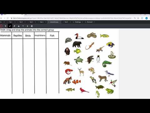 HTML Basics - Lesson 3