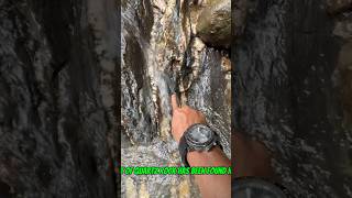 #goldrush 2025 Discovered a waterfall with quartz crystals full of gold #goldmining #goldpanning