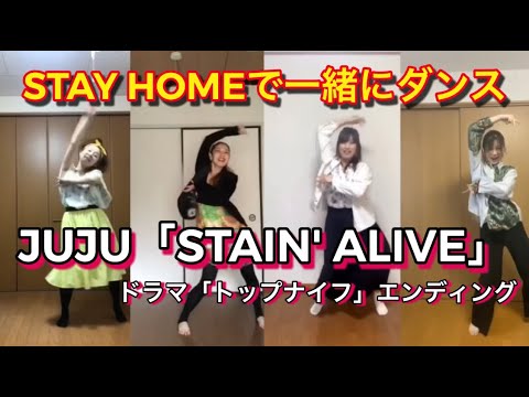 【うちで踊ってみた】JUJU - STAIN'  ALIVE/ドラマ「トップナイフ」エンディング【ウォーミング娘。】
