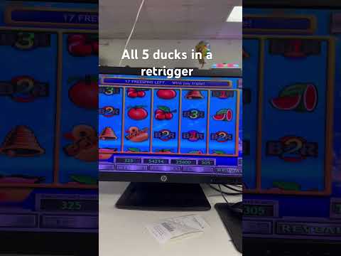Sunfire slots. Winning good. #gambling #slots #vegas #money #winning #fouryoupage