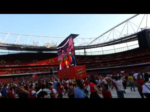Pitch Invasion at Arsenal