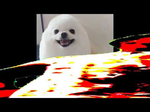 carson dance but in egg dog and loud and wide