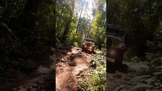 Jeep Trucking Adventure Munnar/#explore #munnar #bikeride #offroad4x4 #nature #travel #robin #riders