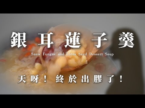 噓！關鍵在於出膠時間！【 秘食趣｜銀耳蓮子羹Snow Fungus and Lotus Seed Dessert Soup】