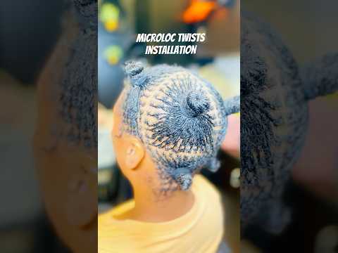 Microloc Twists Install #microlocs #microlocks #locs #protectivestyles