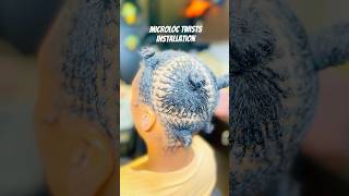 Microloc Twists Install #microlocs #microlocks #locs #protectivestyles