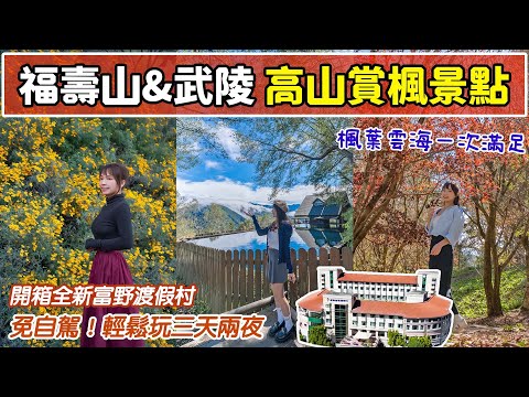 全台最高賞楓景點！免自駕玩高山三天兩夜！台灣小瑞士福壽山農場、武陵農場，雪山必訪天空之鏡！ 斥資四億全新高海拔飯店、絕美星空美景！📍好想去台中