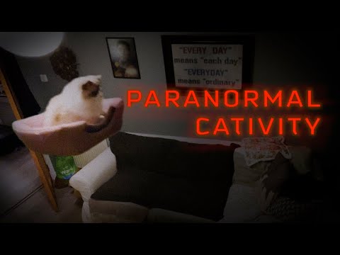 Paranormal Cativity #Shorts