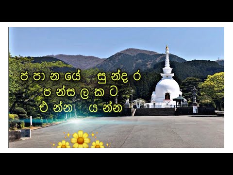 ජපානයේ සුන්දර පන්සලකට එන්න යන්න ..Come to a beautiful temple in Japan ..日本の美しいお寺に来てください...