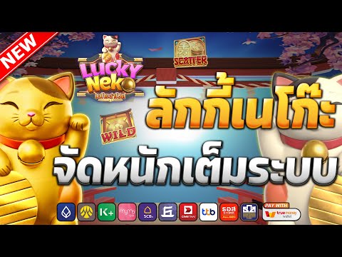 เว็บสล็อตเว็บตรง วอลเล็ต | ค่ายดีแตกหนักไม่มีขั้นต่ำ pg