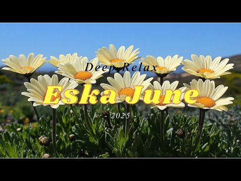 Eska Hits Maj 2025 Gorące Premiery i Sprawdzone Hity na start lata 2025 z ESKA