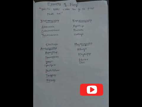 🔥Trick to remember all examples of kingdom fungi🔥|mnemonic for fungi |Biological classification#neet