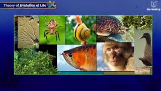 Heredity and Evolution | Science & Technology | Grade 10 | Part 2 | Jeevandeep