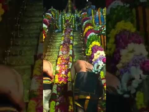 Padunettabadi Padi pooja at Sathupally 🙏🙏 #ayyappa #devotional #ayyappaswamysongs #devotionalmusic