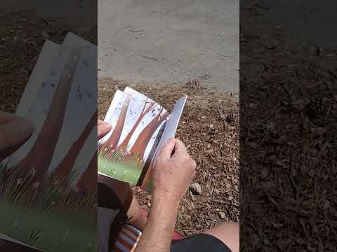 King Opper says:  Reading a good book is fun