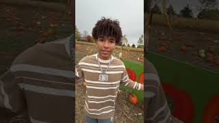 Have you went to a pumpkin patch ? 🎃 #prymrr