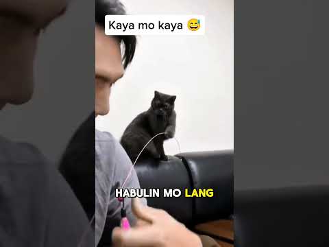 Anu Ang hirap maging pusa diba?🤣#fun #funny #funnyvideo #doglover