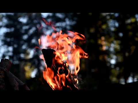 Fireplace in the woods | crackling fireplace | relaxing fireplace sound | fireplace burning