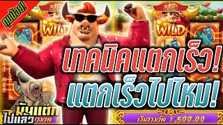 สล็อตฝากวอเลท สล็อต wallet เว็บตรงวอเลท เกมวัวทอง (ตามคำขอFC สูตรแตกไวๆ กำไรเน้นๆ ชมครับ)