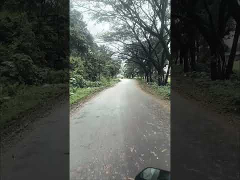 #traviling #bikeride #longdrive #raining #rainyday #nature #lovetravel #maharashtra #kokan #kolhapur