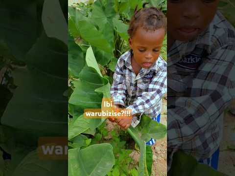 Reba ibintu utaruzi #cute #cutebaby