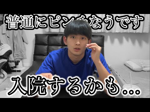 入院するかもしれません。#入院#大学生の日常 #のり弁当 #vlog