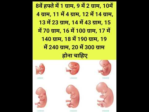 Week by week baby weight chat #pregnancytipsinhindi