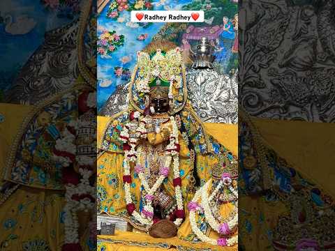 श्री राधावल्लभ दर्शन दुर्लभ #trending #vrindavan #shortsfeed #radhakrishna #shorts