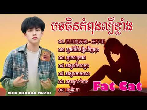 បទសេដ🥀😢💔 Fat Cat - 若月亮没来 - 王宇宙 🥀😢💔 បទចិនកំពុងល្បី កម្សត់ខ្លាំងណាស់