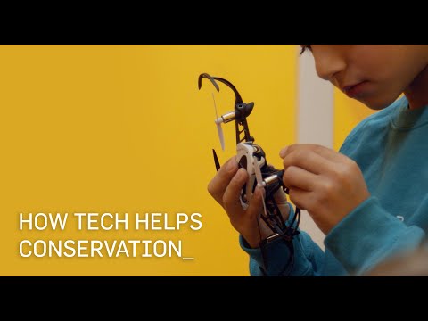 How Tech Helps The Animal World | Cypher London Coding Camps for Kids