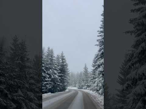 Marisel, Cluj #snow #winter #winterseason #winterspecial #ontheroad #nature #winterwonderland