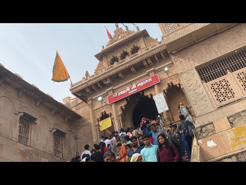Barsana Dham darshan | Vrindavan vlog series day 3| Kartik mass