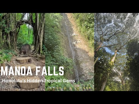 Manoa Falls: Honolulu’s Hidden Tropical Gem