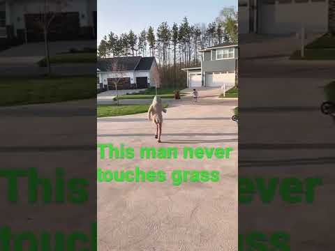 He watches too much Naruto