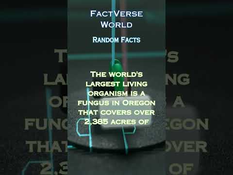 Worlds Largest Organism #viralshorts #randomfacts