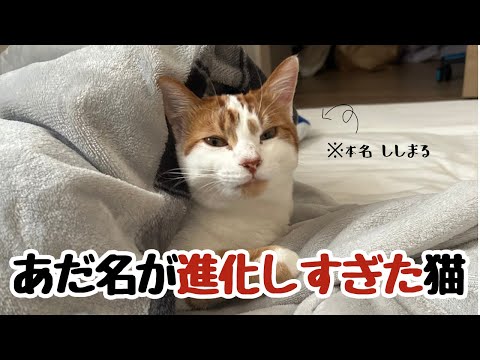 うちの子より珍しいあだ名の猫、他にいる？