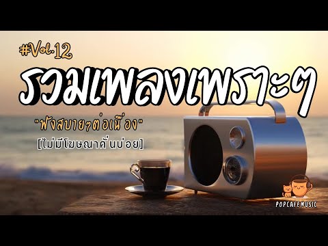 รวมเพลงเพราะๆ ฟังสบายๆ 2025 | ฟังยาวๆต่อเนื่อง 1 ชั่วโมง ไม่มีโฆษณาคั่นบ่อย Vol.12