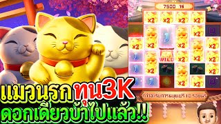 สล็อตPG Lucky neko : สล็อตแตกง่าย แมวนรก pg ทุน3K ดอกเดียวบ้าไปแล้ว!!