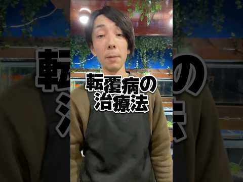 転覆病の初期治療をご紹介。よかったら参考にしてください！#金魚#転覆#長野県#岡谷市